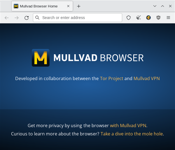 Mullvad Browser Screenshot