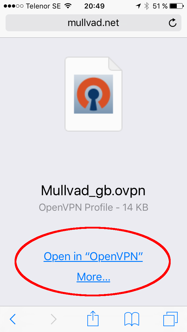 openvpn mullvad