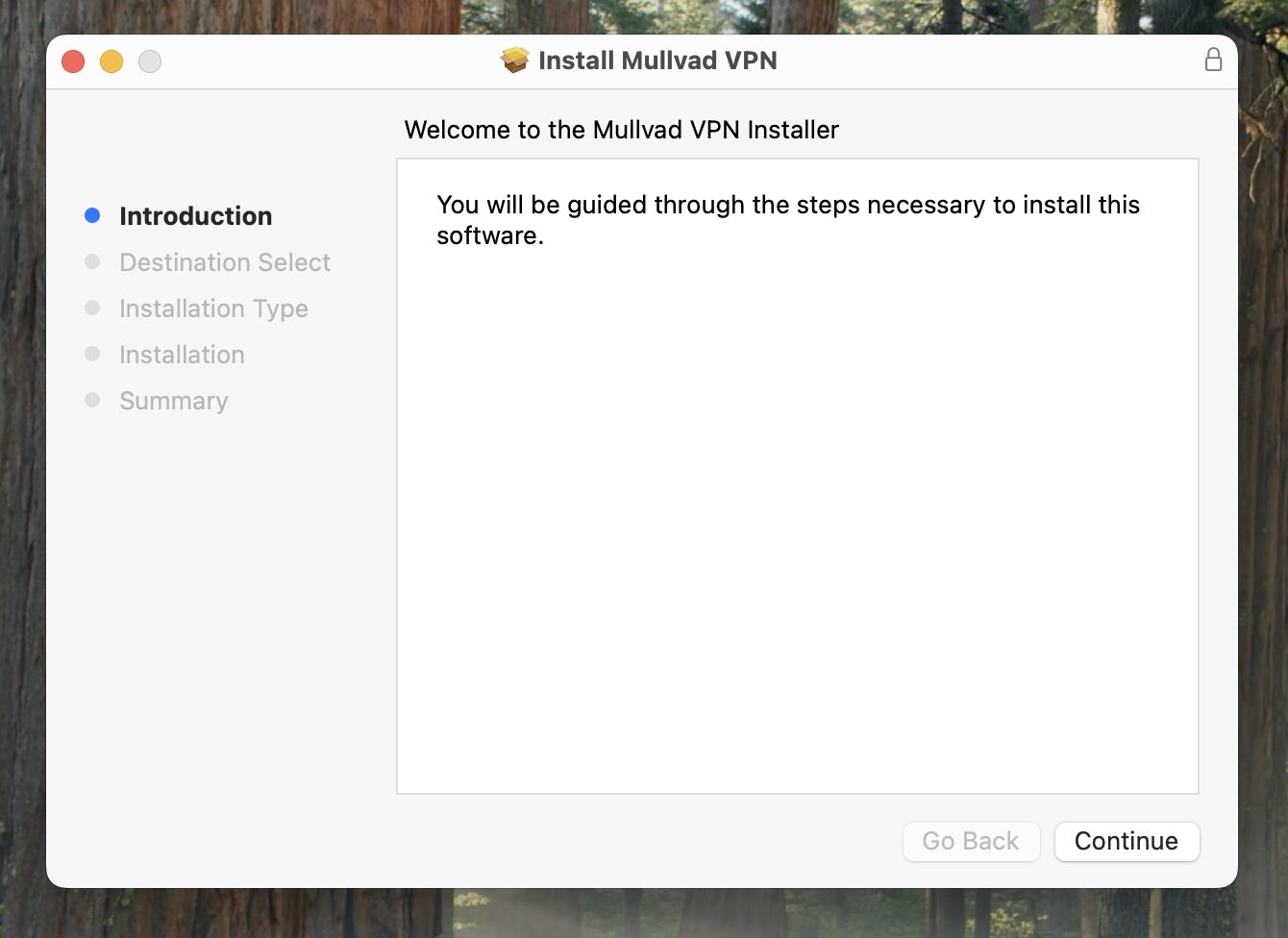 The Mullvad VPN setup wizard, with the steps and instructions of the wizard process.
