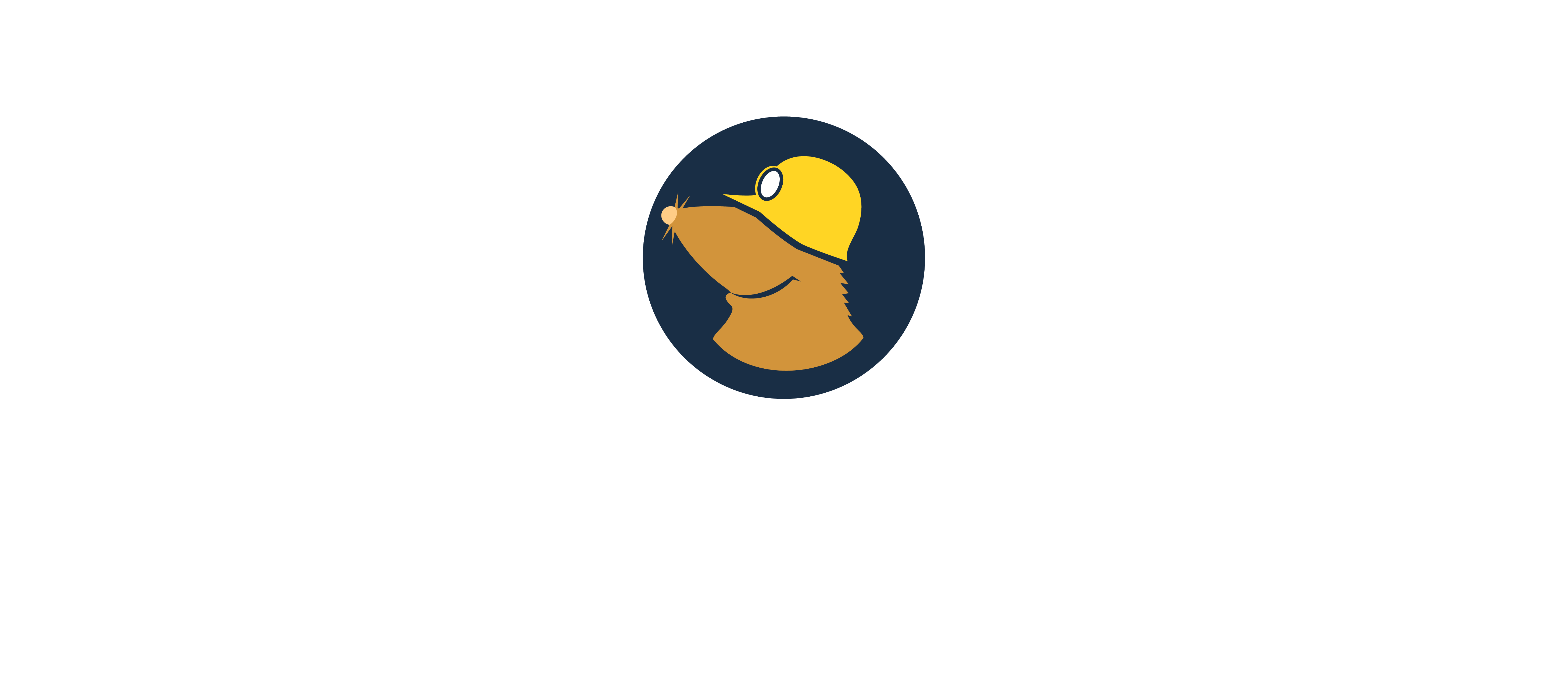 Mullvad VPN Logo Color negative