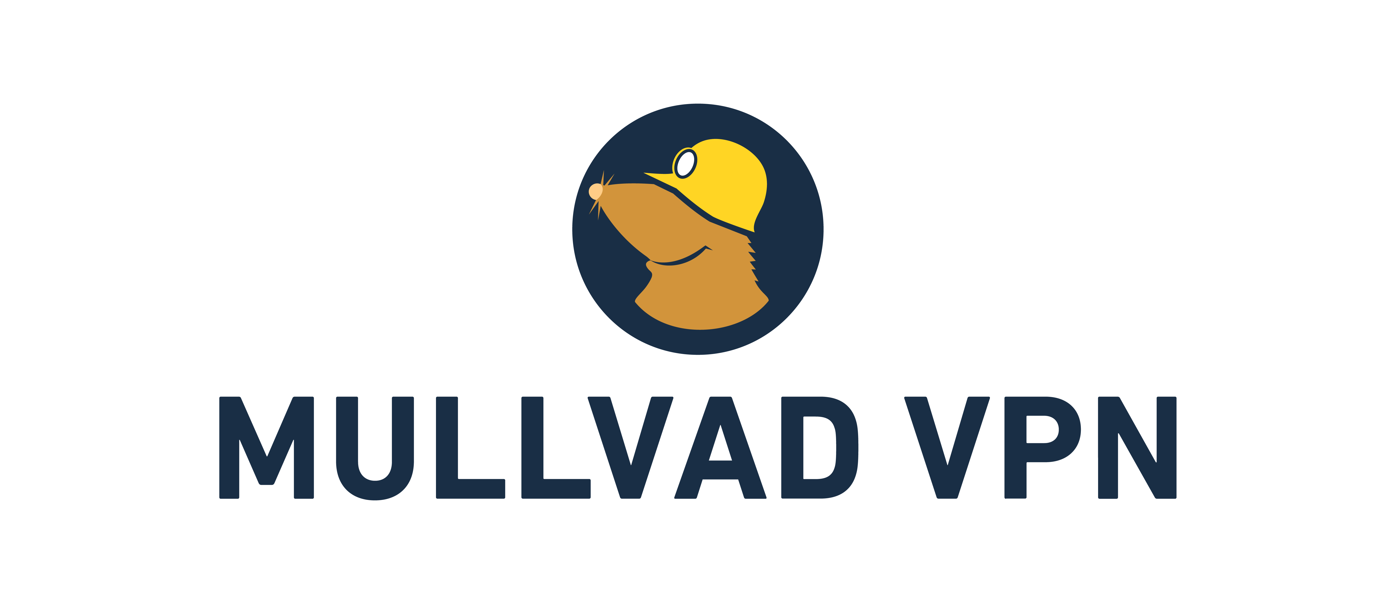 Mullvad VPN Logo Color positive