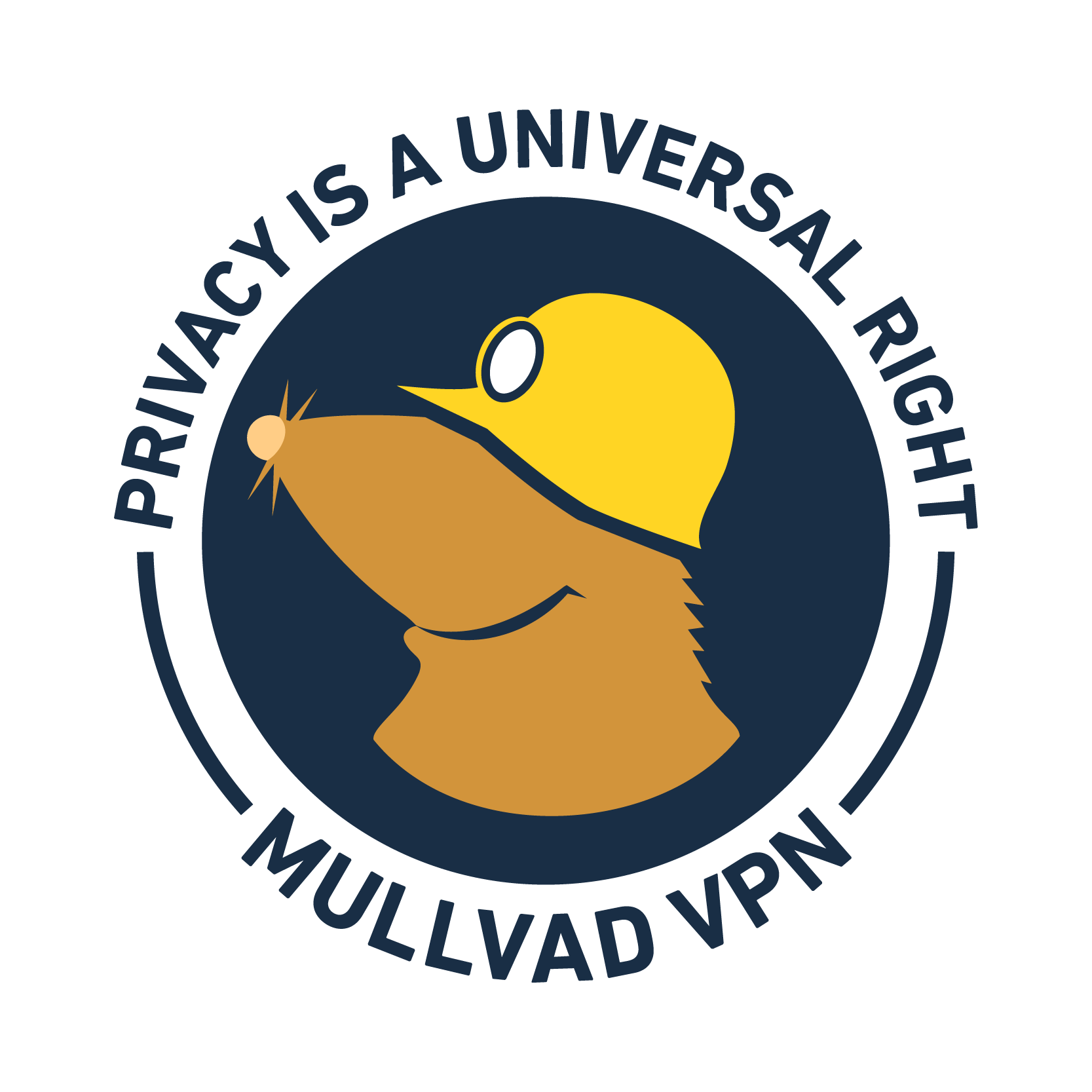 Mullvad VPN Logo Color positive